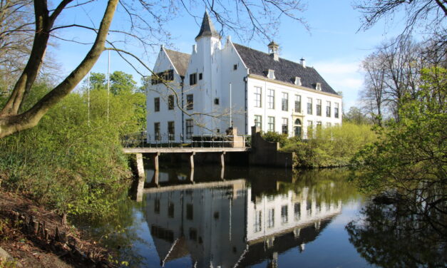 Het Kasteel van Rhoon